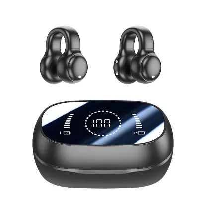 Black Earbuds